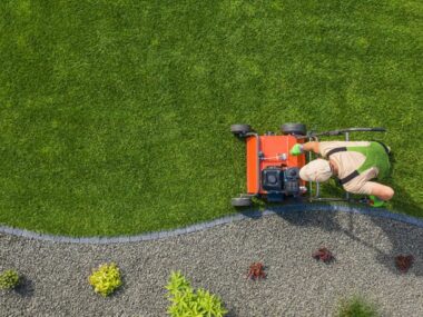 HOA Needs Landscaping