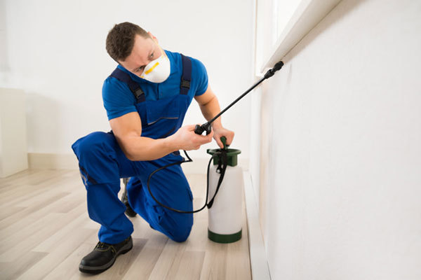 Pest control services