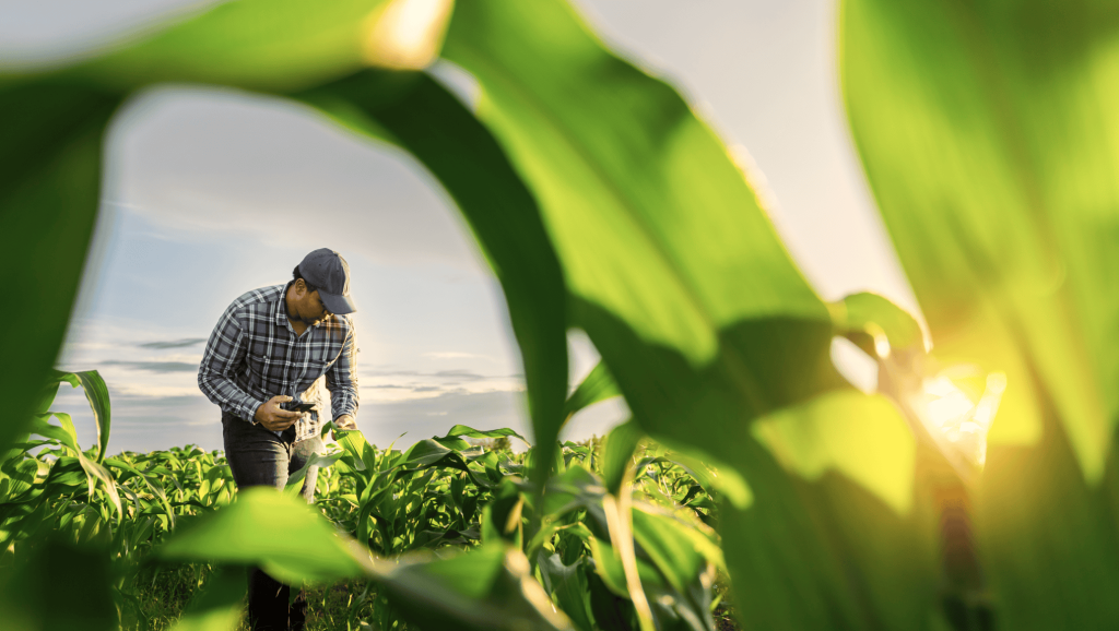 Financial Planning Tips for the Start of a New Farming Year