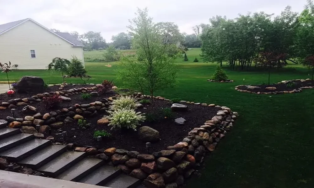 Backyard Transformation Design Services for Beautiful Outdoor Living