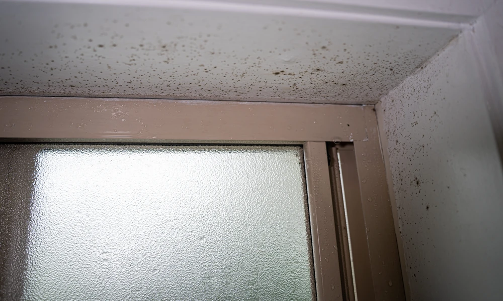 Your Remodel Budget Has a Flood Zone Ceiling